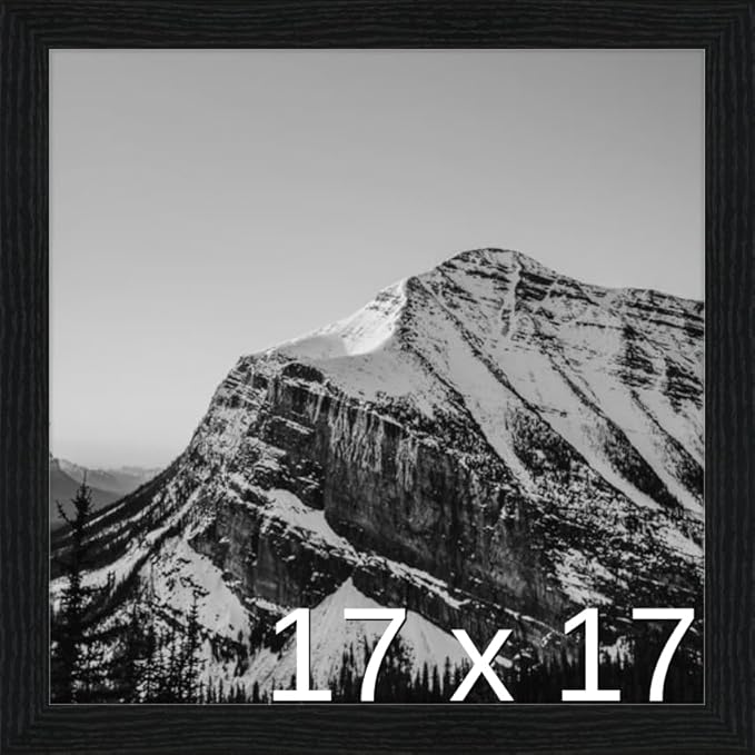 Frame It Easy 17 x 17 Black Grain Wood Frame (Derby)