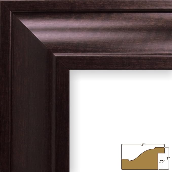 Craig Frames 76036 10 x 12 Inch Picture Frame, Contemporary Dark Brown, Set of 4