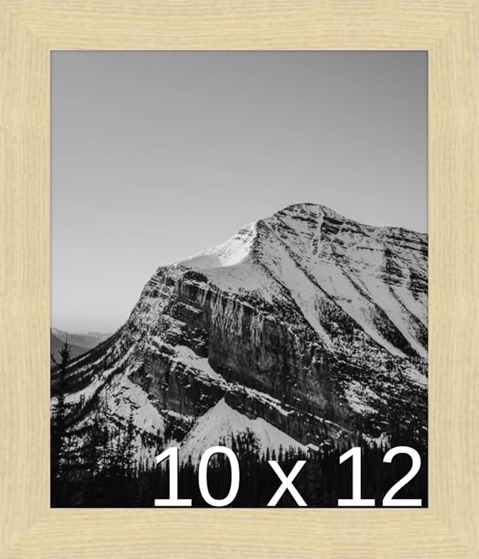 Frame It Easy 10 x 12 Wheat Wood Frame (Derby)