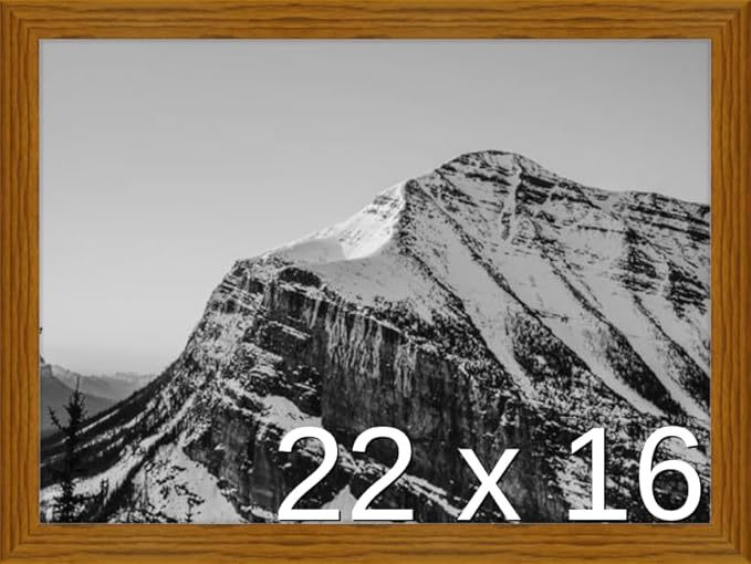 Frame It Easy 22 x 16 Hazel Wood Frame (Derby)