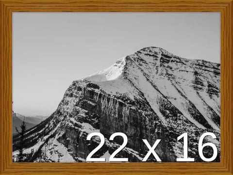 Frame It Easy 22 x 16 Hazel Wood Frame (Derby)
