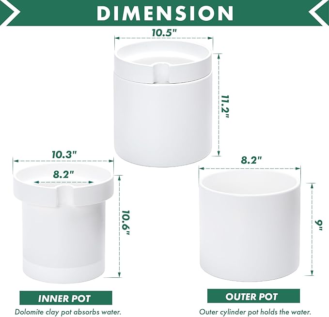 Phoenix Vine 10 Inch Cylinder Self Watering Planter, White Glazed Outer Plant Pot with Dolomite Clay Inner Planter for Indoor Plants, White, 31-A-I-W
