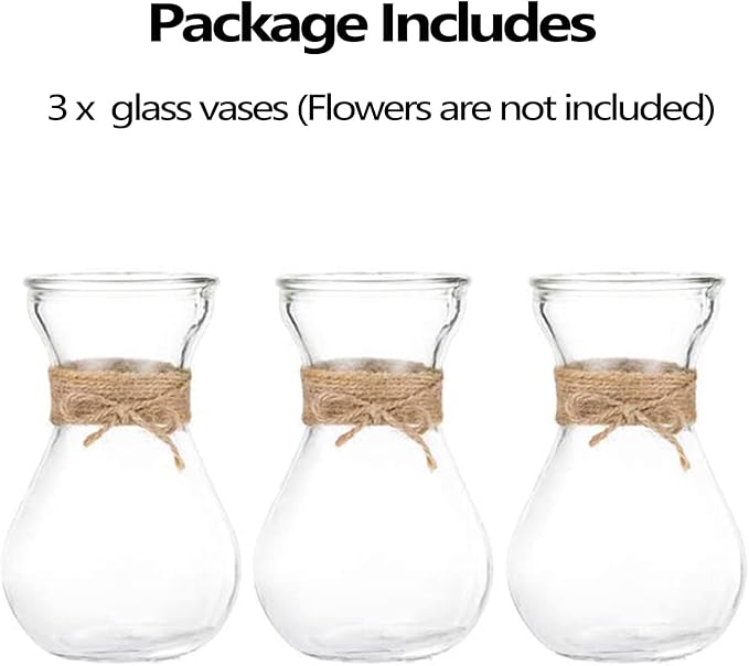 Small Glass Vases for Centerpieces - Hewory 3pcs Clear Mini Hyacinth Avocado Growing Bud Vase Bulk, Cute Tiny Flower Bulb Forcing Plant Containers Set for Wedding Home Living Room Table Decorations
