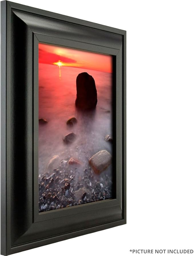 Craig Frames 21834700BK 17 x 22 Inch Picture Frame, Black, Set of 4