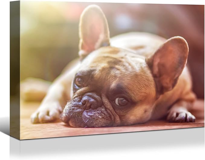 Looife 40"x30" Custom Canvas Prints, Custom Picture Personalized Wall Art with Your Photo on Canvas