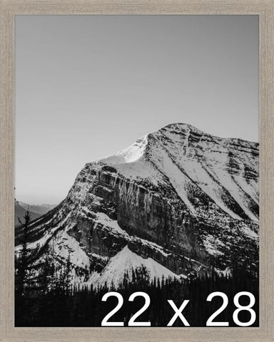 Frame It Easy 22 x 28 Rustic Gray Wood Frame (Derby)