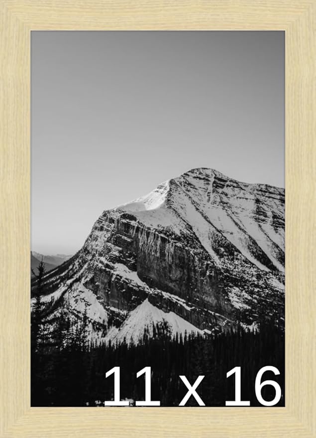 A3 - (11.7 x 16.5 inch) or 11 3/4 x 16 9/16 inch Frame (Derby)