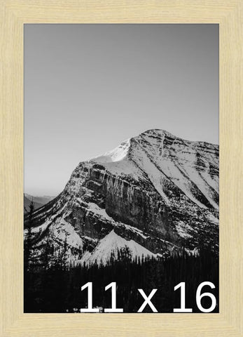 A3 - (11.7 x 16.5 inch) or 11 3/4 x 16 9/16 inch Frame (Derby)
