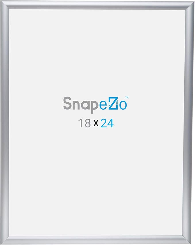 SnapeZo 2-Pack 18x24 Inches Silver Poster Frames, Front-Loading Snap Frame, 1" Aluminum Profile, Wall Mounted