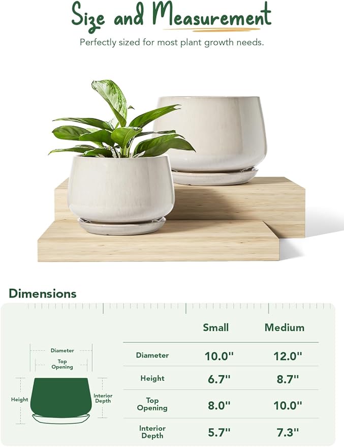 LE TAUCI 세라믹 화분, 2개 세트, 25.4cm(10인치) + 30.5cm(12인치) 화분, 실내 식물을 위한 우아한 화분, 배수 구멍과 받침이 있는 튼튼한 화분, 홈 데코에 적합, 반응성 글레이즈 베이지