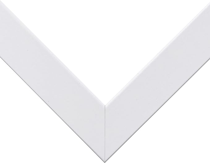 Craig Frames Essentials, Modern 1 Inch Wide 18 x 24 Inch White Picture Frame Matted to Display a 12 x 18 Inch Photo