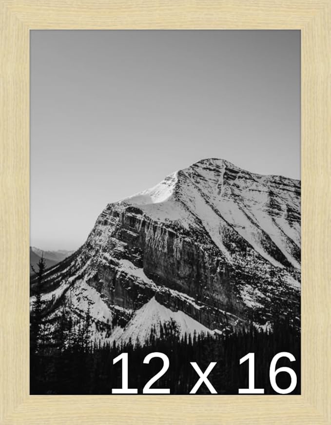 Frame It Easy 12 x 16 Wheat Wood Frame (Derby)