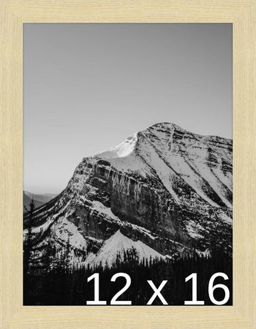 Frame It Easy 12 x 16 Wheat Wood Frame (Derby)