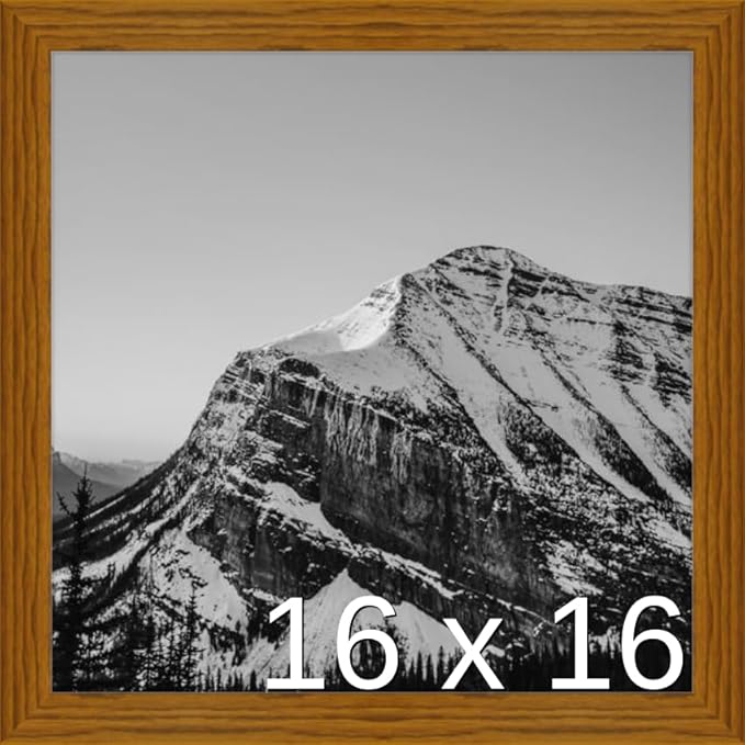 Frame It Easy 16 x 16 Hazel Wood Frame (Derby)