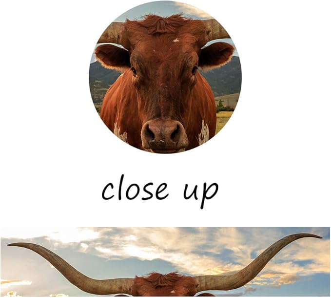 5 Piece Animal HD Painting Canvas Prints Texas Longhorn Steer in Rural Utah Giclee Artwork Modern Framed and Stretched Wall Art Painting for Living Room Decor - 60''W x 32''H