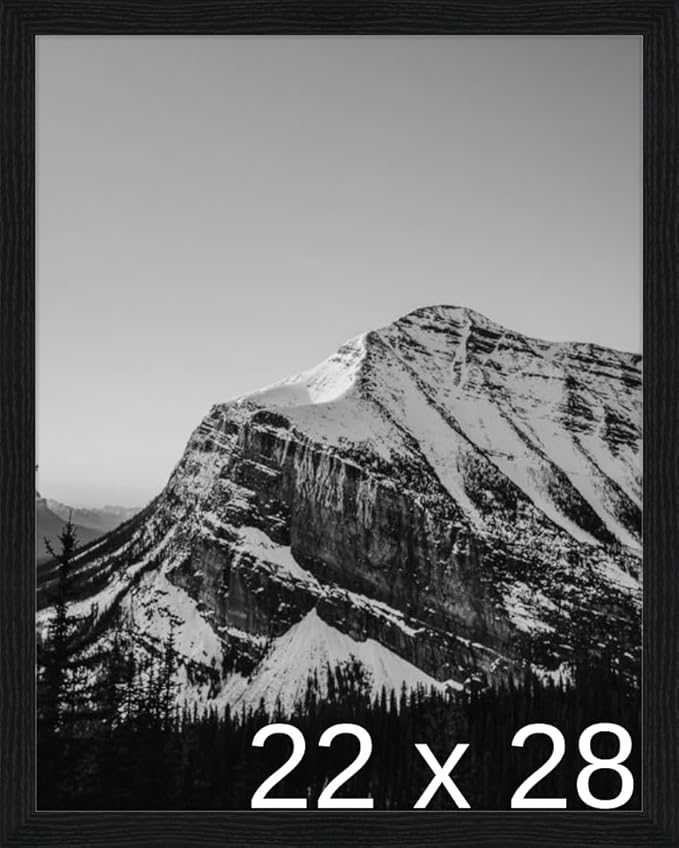 Frame It Easy 22 x 28 Black Grain Wood Frame (Derby)