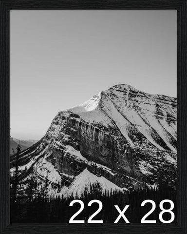 Frame It Easy 22 x 28 Black Grain Wood Frame (Derby)