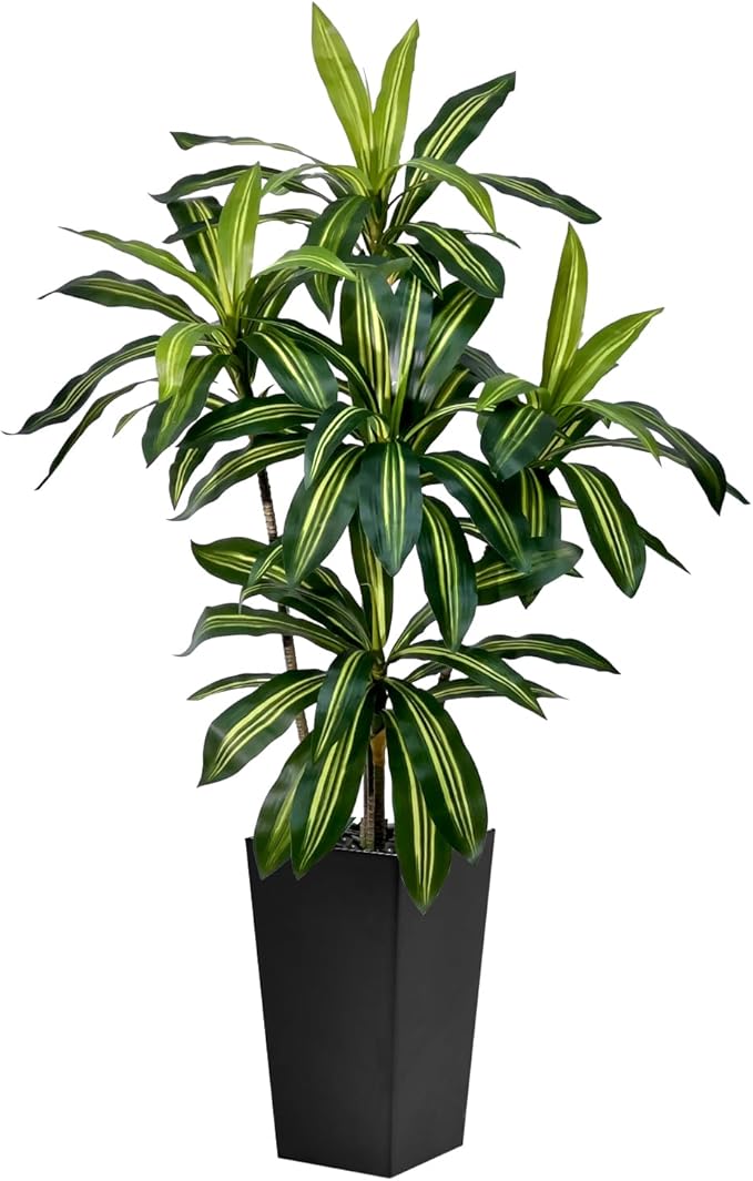 Artificial Dracaena Tree 5FT Tall Fake Plant with White Pot - Realistic Faux Dragon Tree with Tall Planter - Indoor Floor Plant for Home, Office,Mall, Living Room, Bedroom Decor (Black - Planter, 5ft)