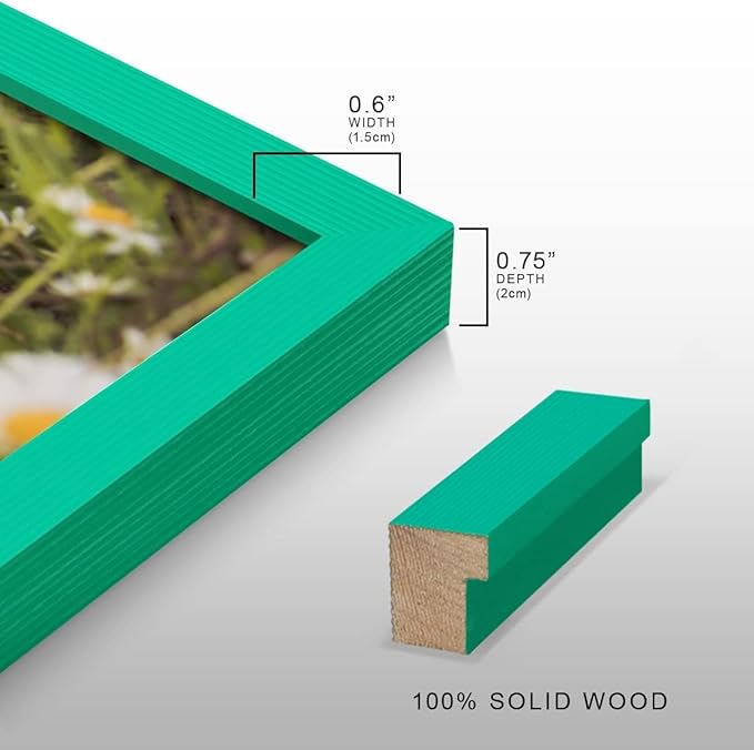 Renditions Gallery Set of 9, 11X14 Custom Photo Prints with Real Wood Picture Frames. Create Personalized Photos with Peel & Stick Photo Frames. Green Frame
