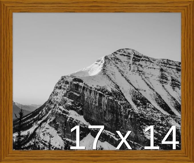 Frame It Easy 17 x 14 Hazel Wood Frame (Derby)
