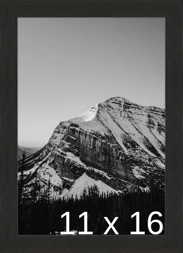 A3 - (11.7 x 16.5 inch) or 11 3/4 x 16 9/16 inch Frame (Derby)