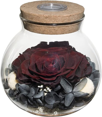 Preserved Real Roses with Colorful Mood Light Wishing Bottle,Eternal Rose，Never Withered Flowers,for Bedroom Party Table Decor, Anniversary,Valentine's,Mother's Day,a Gifts for Women (Burgundy)