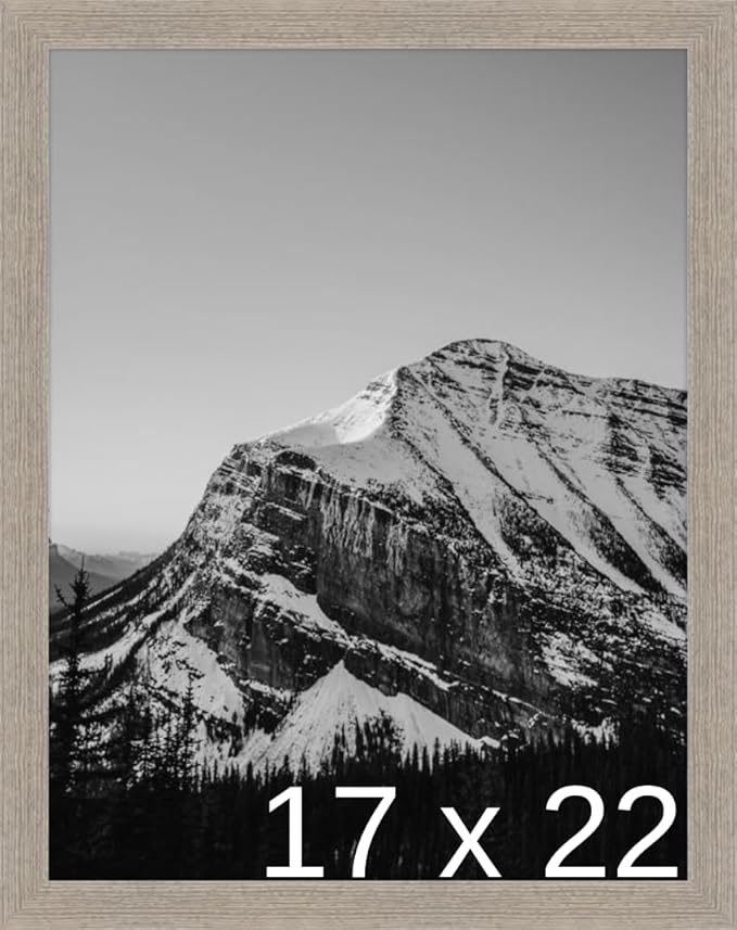 Frame It Easy 17 x 22 Rustic Gray Wood Frame (Derby)
