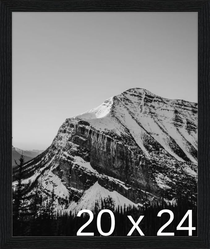 Frame It Easy 20 x 24 Black Grain Wood Frame (Derby)