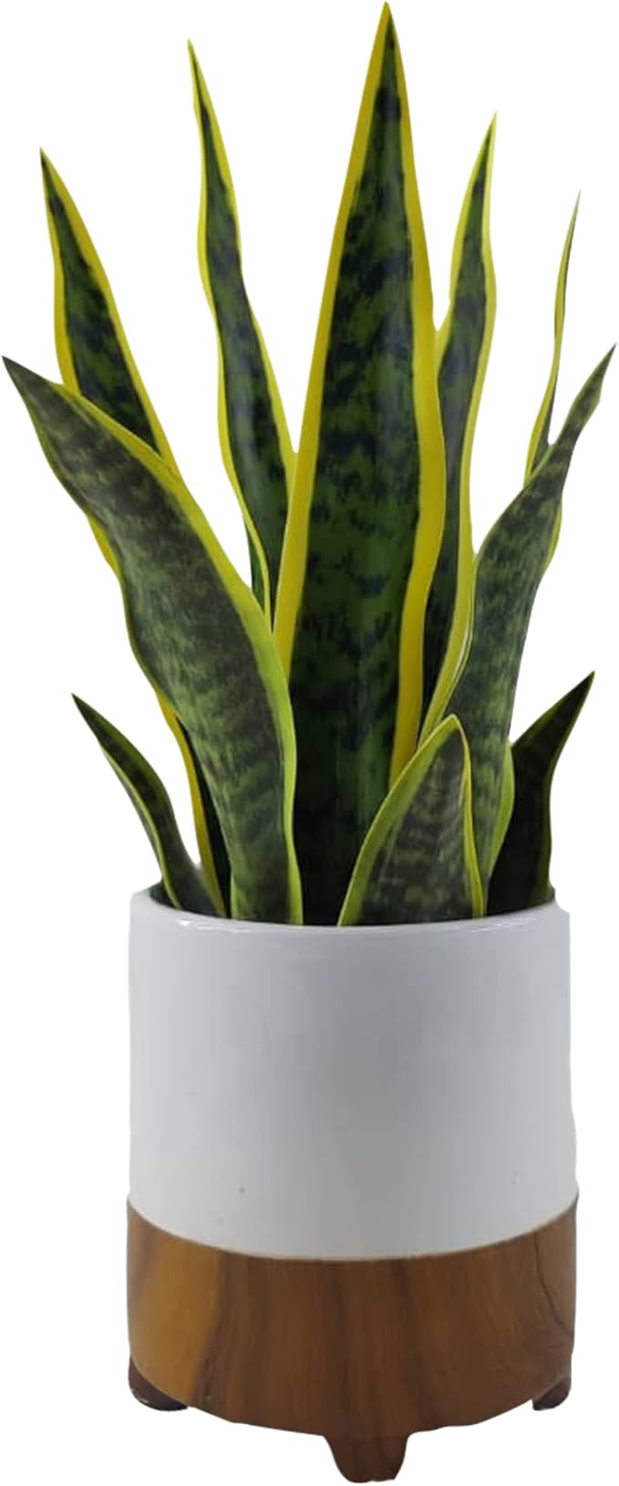 GreenBoxx 18" Artificial Snake Plant Sansevieria - Large Pot - Portable Faux Potted Snake Decor - Fake Green Indoor House Plant for Modern Home Decor, Window, Shelf - Mother in Law Tongue Plant