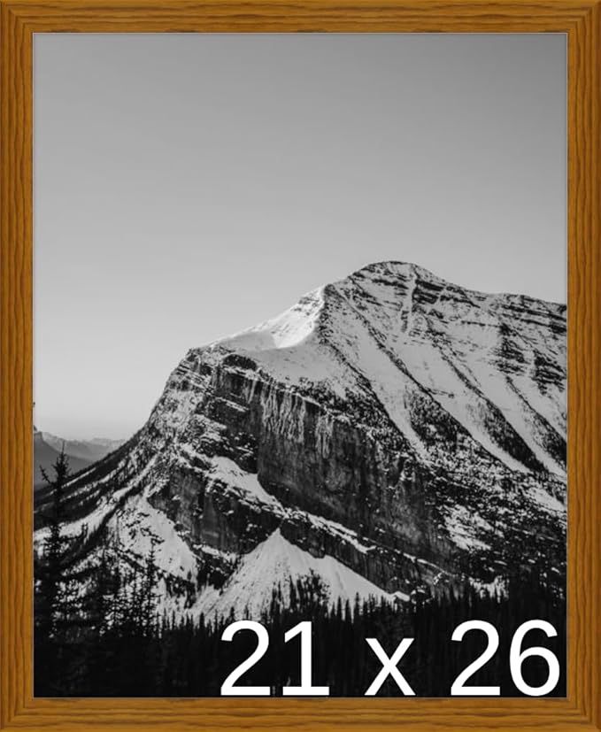 Frame It Easy 21 x 26 Hazel Wood Frame (Derby)