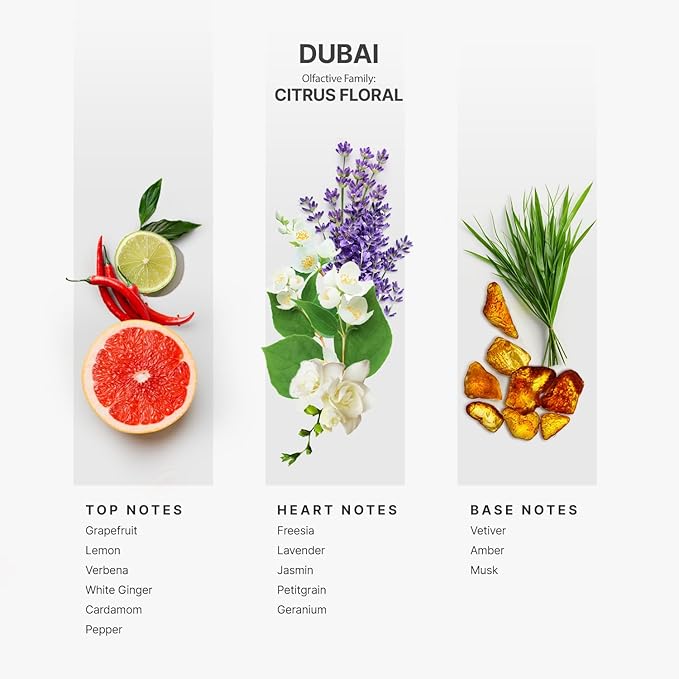 AromaPlan Hotel Scents Dubai 5 Fl Oz (148ml), Home Luxury Aroma & Hotel Fragrance Diffuser Oil- Hotel Diffuser Oil for Aromatherapy- USA Made, Bigger Bottle, Bolder Aroma & Longer Lasting