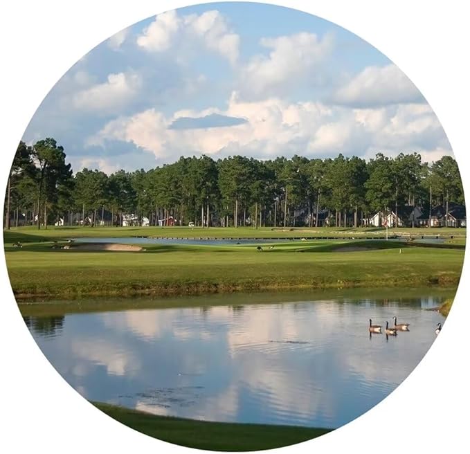South Carolina Myrtle Beach Wall Art for Living Room Bedroom Bathroom Home Decorations Paintings Canvas Prints Framed Ready to Hang(12''H x 16''W)