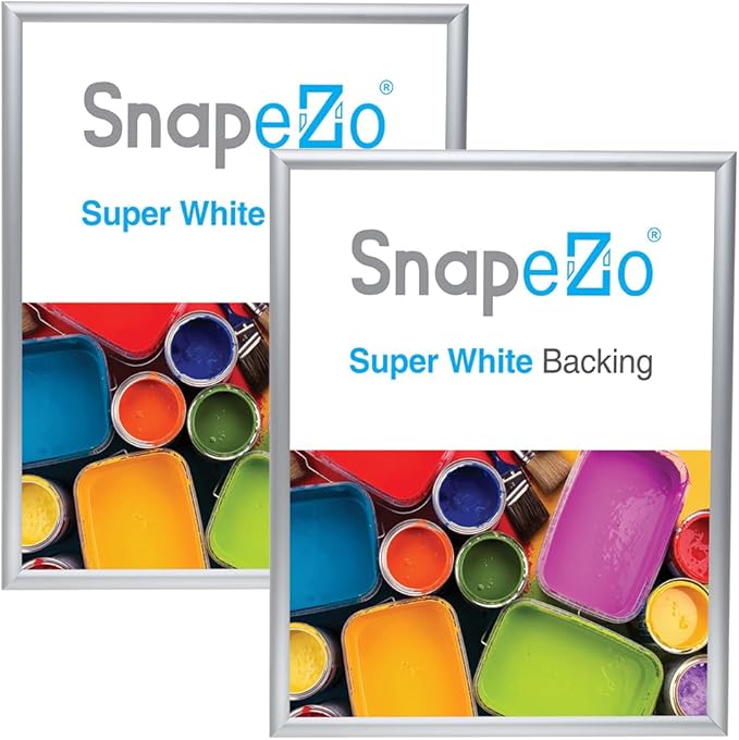 SnapeZo 2-Pack 18x24 Inches Silver Poster Frames, Front-Loading Snap Frame, 1" Aluminum Profile, Wall Mounted