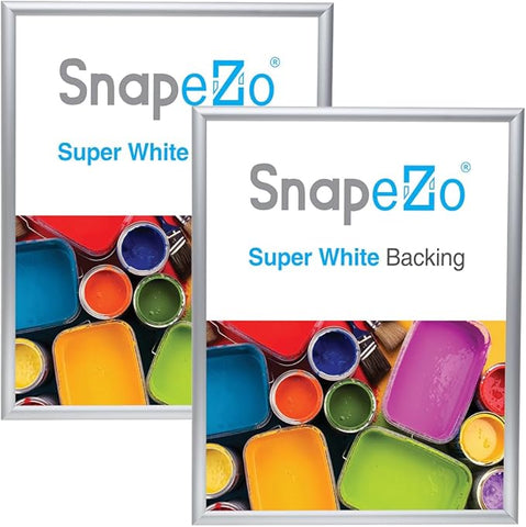 SnapeZo 2-Pack 18x24 Inches Silver Poster Frames, Front-Loading Snap Frame, 1" Aluminum Profile, Wall Mounted