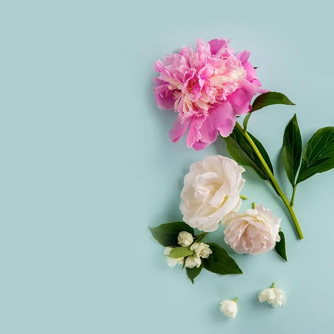 VINEVIDA [Gallon (128 Fl Oz)] Scent NO. 1101 Fragrance Oil for Cold Air Diffusers, Aromatic Notes of Amber Peony Starfruit, Essential Oils for Diffuser Oil Refill & Air Freshener Room Spray