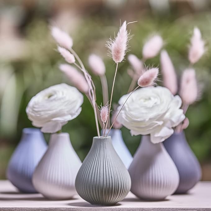 Chive ‘Frost’ Ceramic Flower Vase — Set of 6 Beautiful Small Bud Vases for Flowers & House Plants — Perfect Shelf Centerpieces and Living Room Decor — White