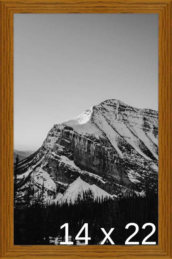 Frame It Easy 14 x 22 Hazel Wood Frame (Derby)