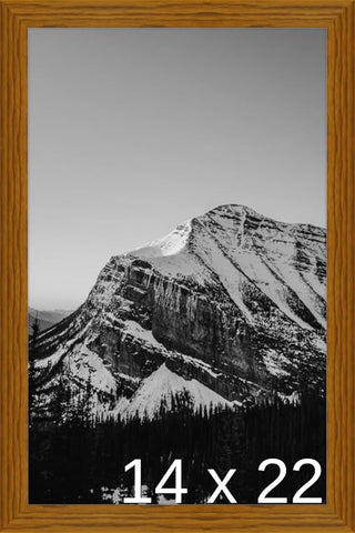 Frame It Easy 14 x 22 Hazel Wood Frame (Derby)