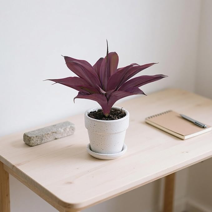 Artificial Agave 15In Faux Agave Fake Greenery Outdoor Artificial Plant Fake Plant for Indoor Home Decoration Plastic Plant Outdoor Decoration Front Porch Decor Simulation Plants 2Pack,Purple