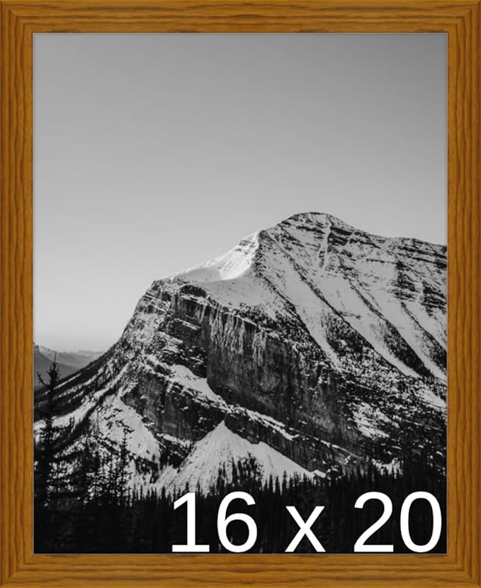 Frame It Easy 16 x 20 Hazel Wood Frame (Derby)
