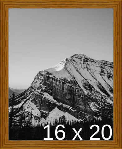 Frame It Easy 16 x 20 Hazel Wood Frame (Derby)