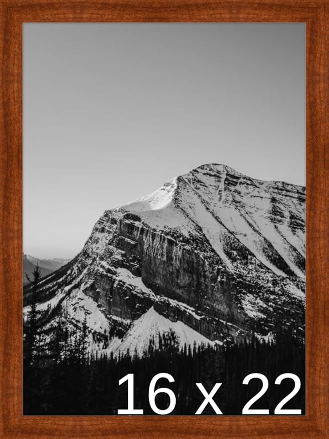 Frame It Easy 16 x 22 Russet Wood Frame (Derby)