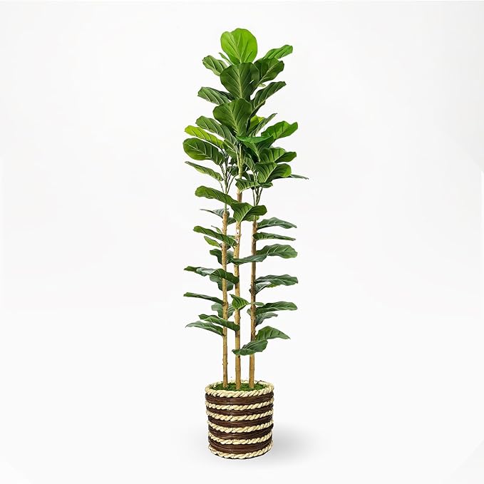 Artificial Fiddle Leaf Fig Tree Indoor with Woven Basket - 5ft Tall Fake Tree with Real-Wood Trunk,Faux Plants for Living Rooms, Offices, Kitchens & Outdoor Spaces (Round Basket)