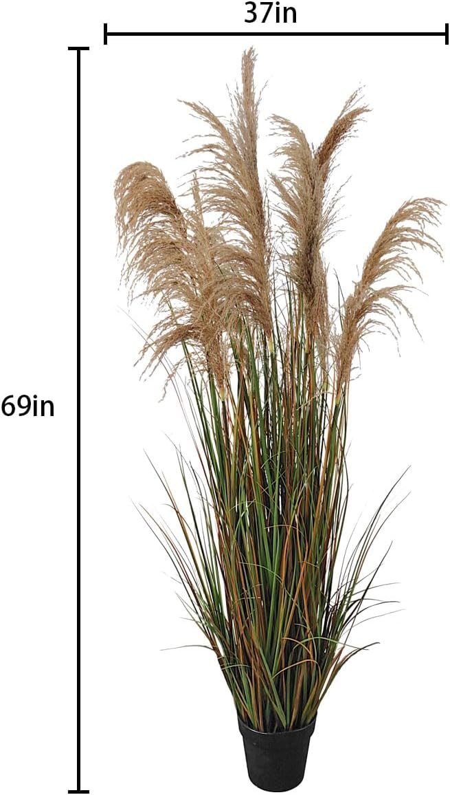 Alonfala - 69" (2-Pack) Pampas Grass Potted Plants - Artificial Faux Plants Featuring Tall Grass, Housewarming, and New Home Celebration. Elevate with Fake Plants, Ideal for Floor Decor