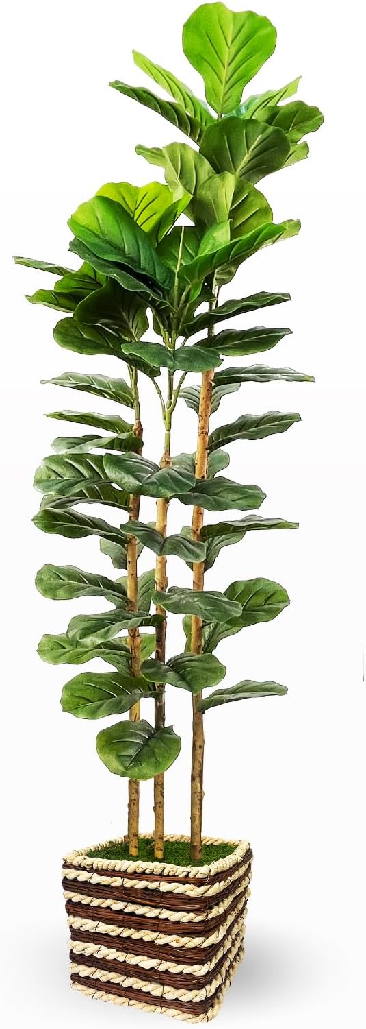 Artificial Fiddle Leaf Fig Tree Indoor with Woven Basket - 5ft Tall Fake Tree with Real-Wood Trunk,Faux Plants for Living Rooms, Offices, Kitchens & Outdoor Spaces (Square Basket)