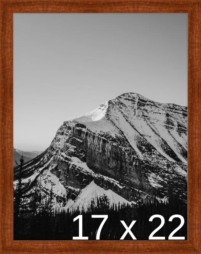 Frame It Easy 17 x 22 Russet Wood Frame (Derby)