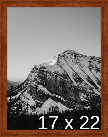 Frame It Easy 17 x 22 Russet Wood Frame (Derby)