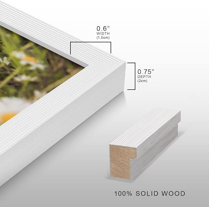 Renditions Gallery 11X14 Custom Photo Prints with Real Wood Picture Frames. Create Personalized Photos with Peel & Stick Photo Frames. Single, White Frame