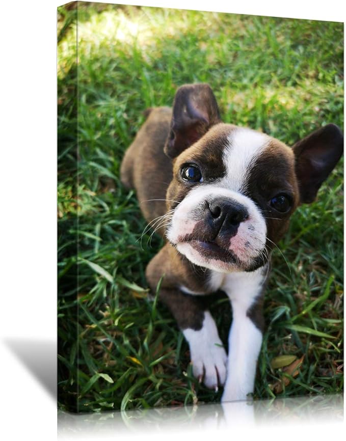 Looife Custom Canvas Wall Art from Your Photo 12x18 inch Frame Personalized Picture Prints Decor Wrapped Canvas Poster for Room Decoration Ready to Hang