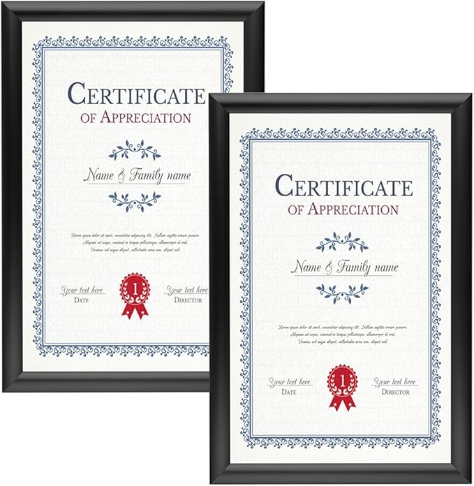 SnapeZo 2-Pack 11x17 Inches Black Document Notice Frames, Front-Loading Snap Frame, 1" Aluminum Profile, Wall Mounted